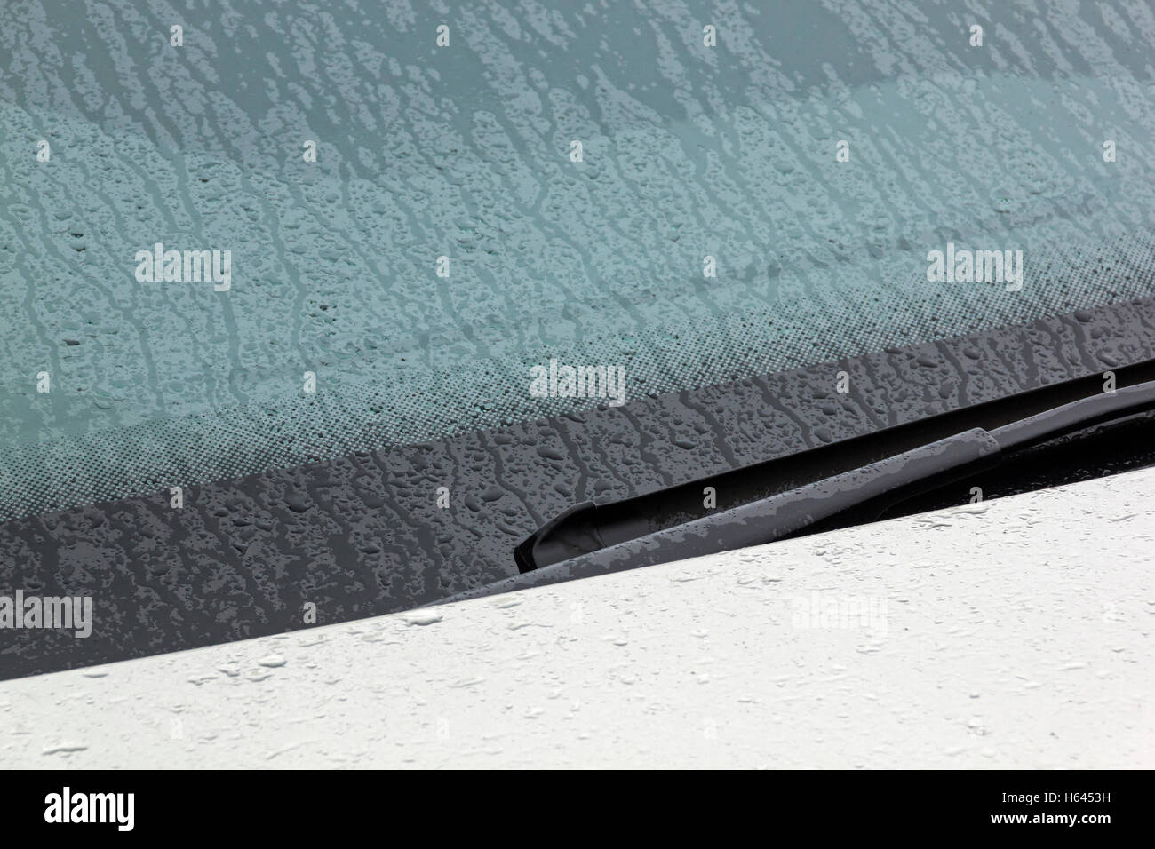 Bonnet transparent hi-res stock photography and images - Alamy