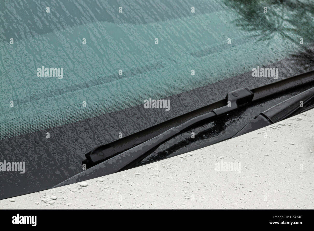 Bonnet transparent hi-res stock photography and images - Alamy