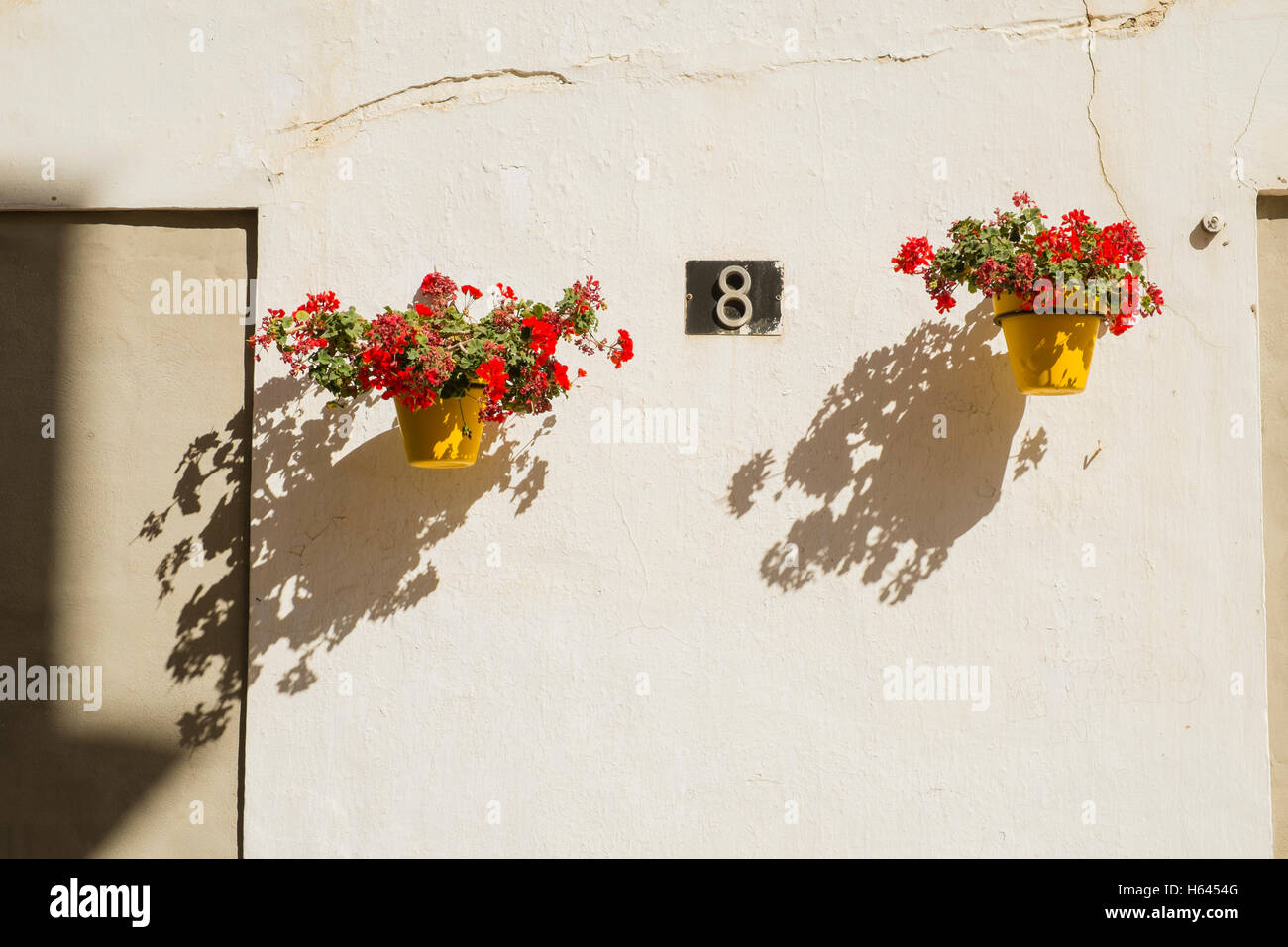 Geraniums in pots. Estepona, Málaga province, Andalusia, Spain Stock Photo