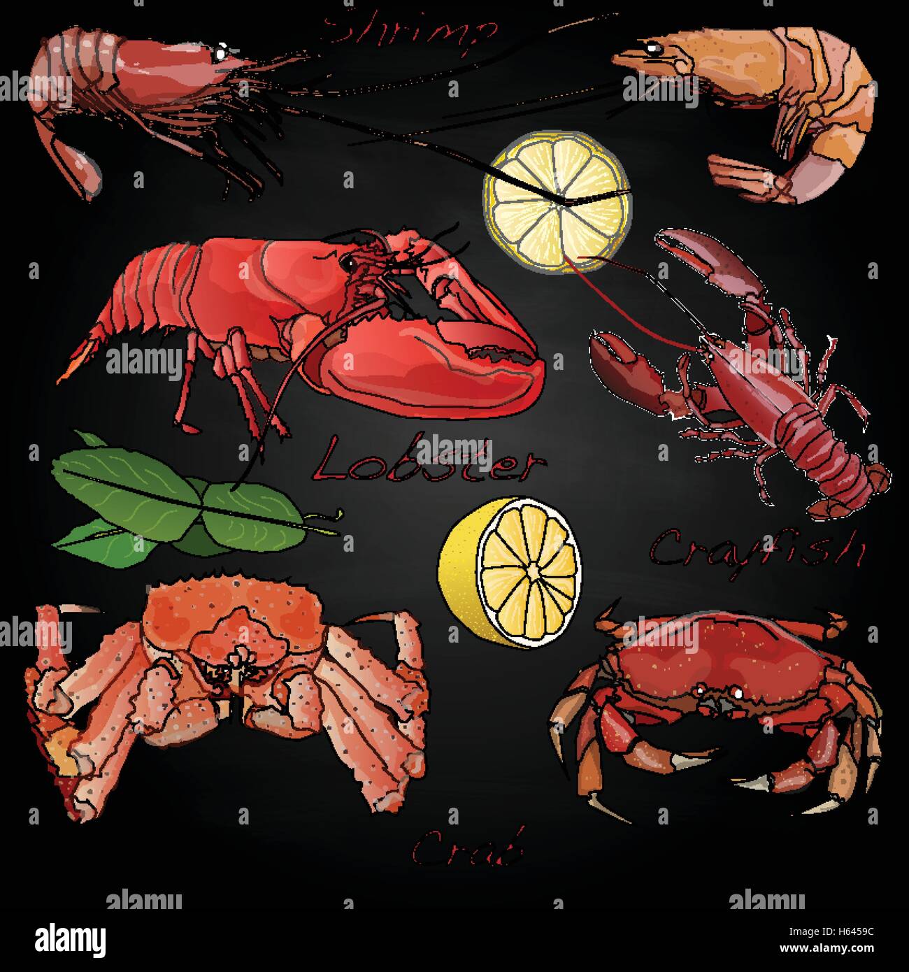 Sea food illustration vector set isolated Stock Vector
