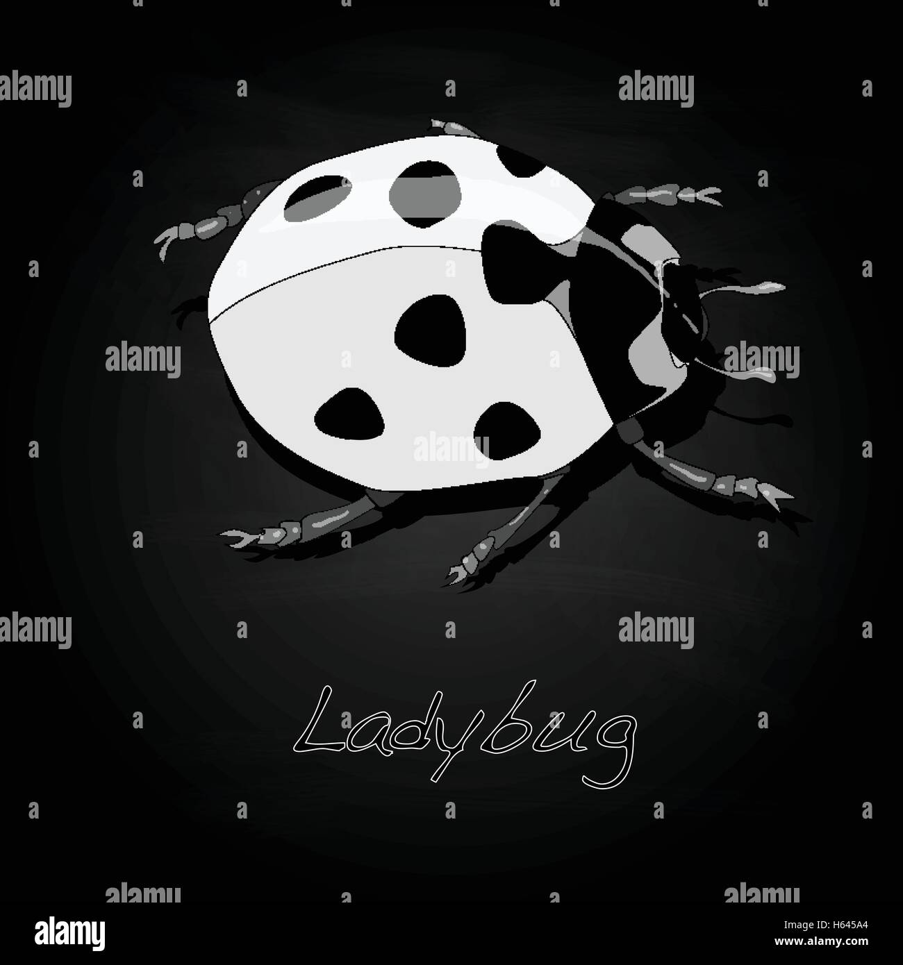 Ladybug vector illustration isolated Stock Vector Image & Art - Alamy