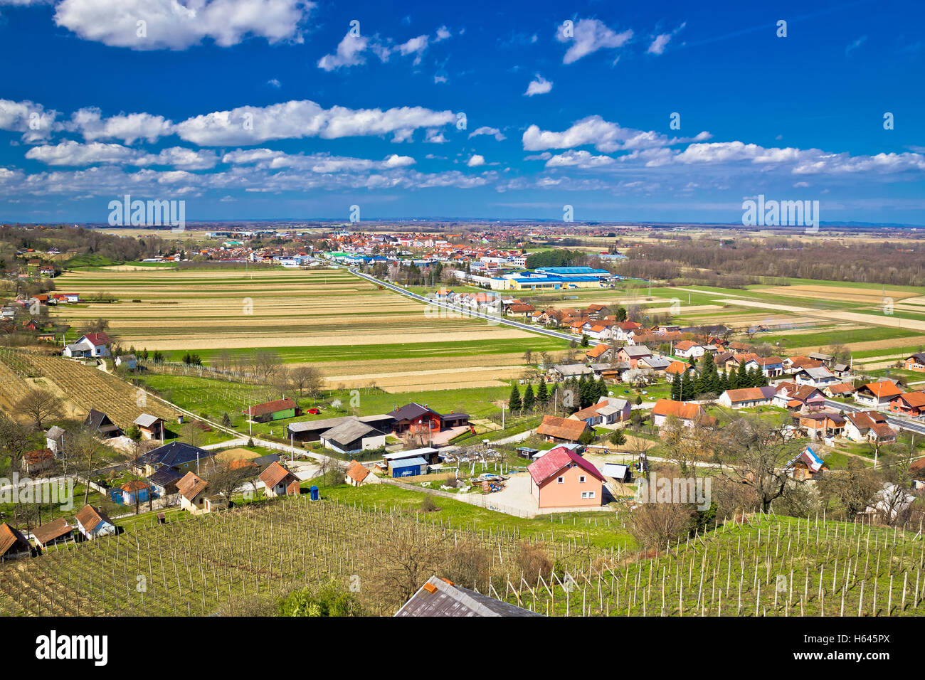 Ludbreg vineyard hills and valey, Prigorje, Croatia Stock Photo