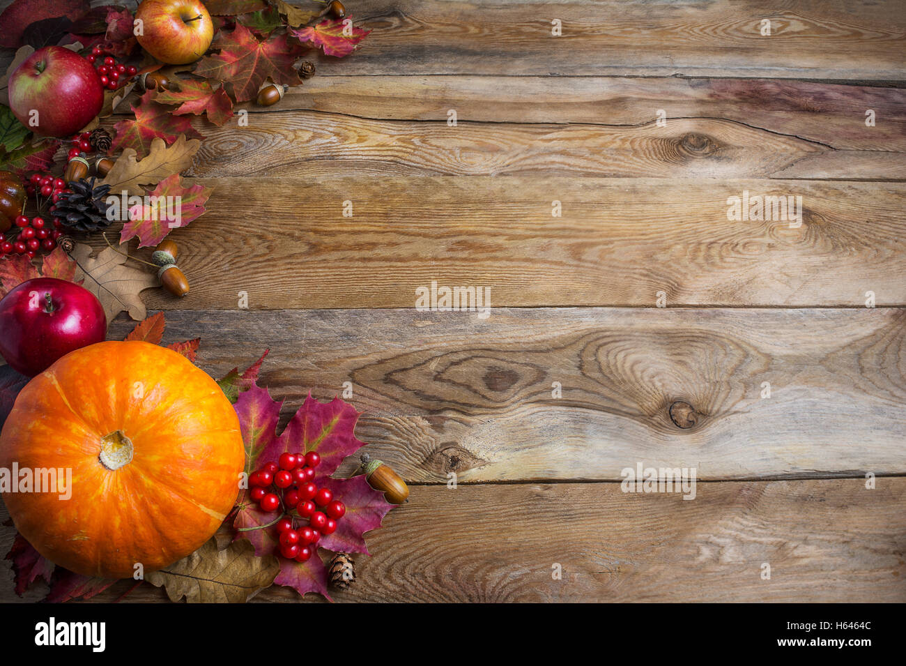 Thanksgiving or fall greeting background with orange pumpkins and fall ...