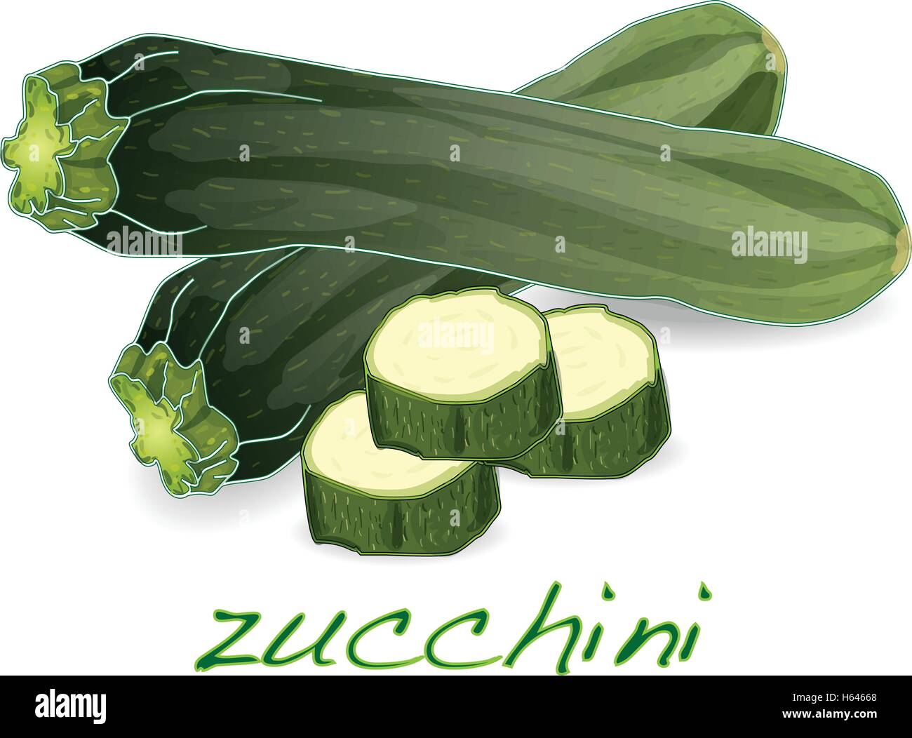 Zucchini Plant Stock Vector Images Alamy