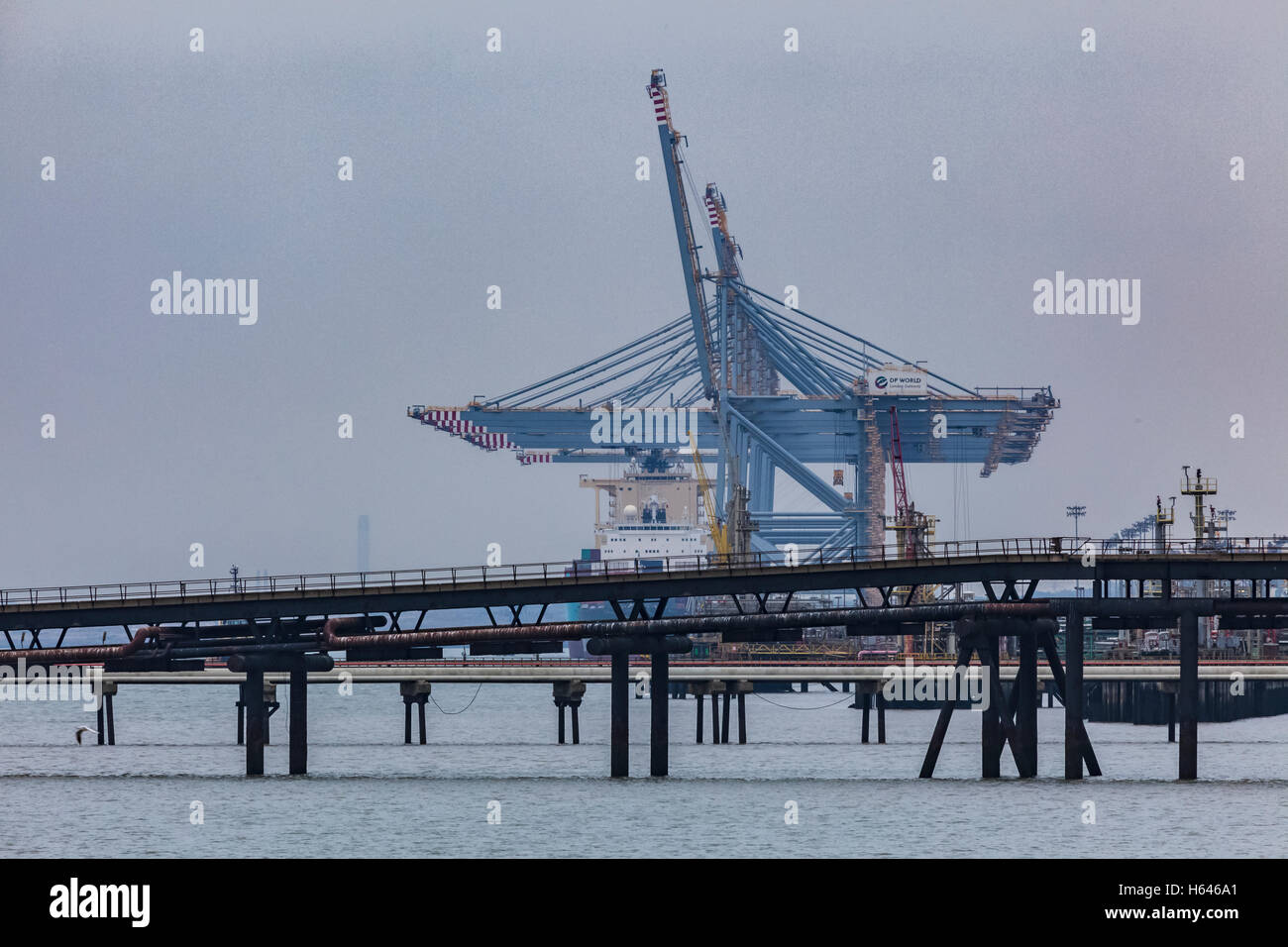 London Gateway Viewed from Canvey Island Across Hole Haven Creek Stock