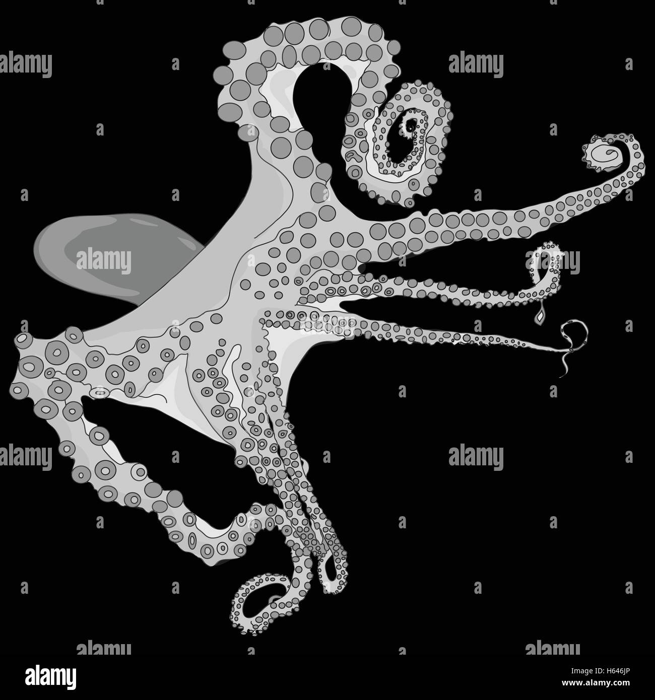 octopus isolated vector image Stock Vector Image & Art - Alamy