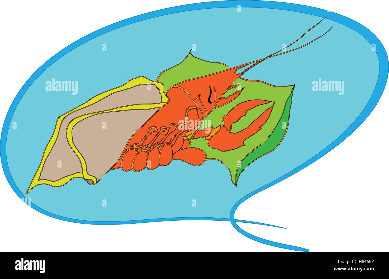 Shrimp cartoon character isolated hi-res stock photography and images ...