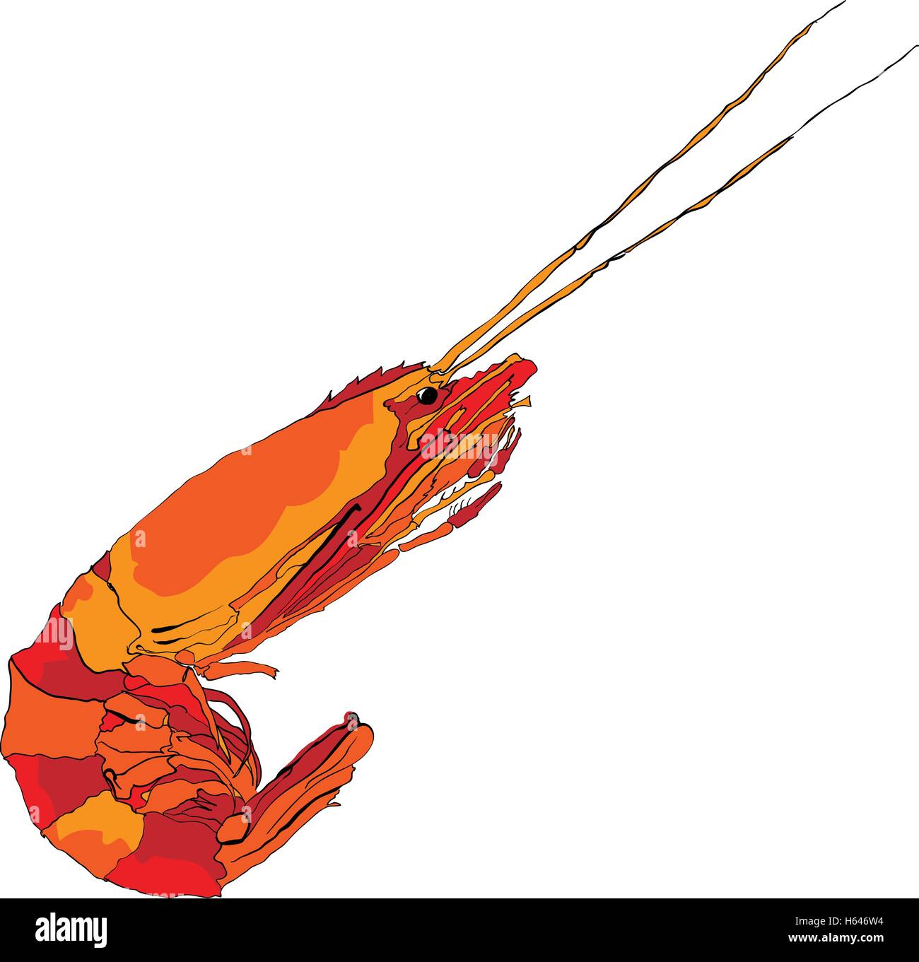 Cartoon shrimp Stock Vector Images - Alamy