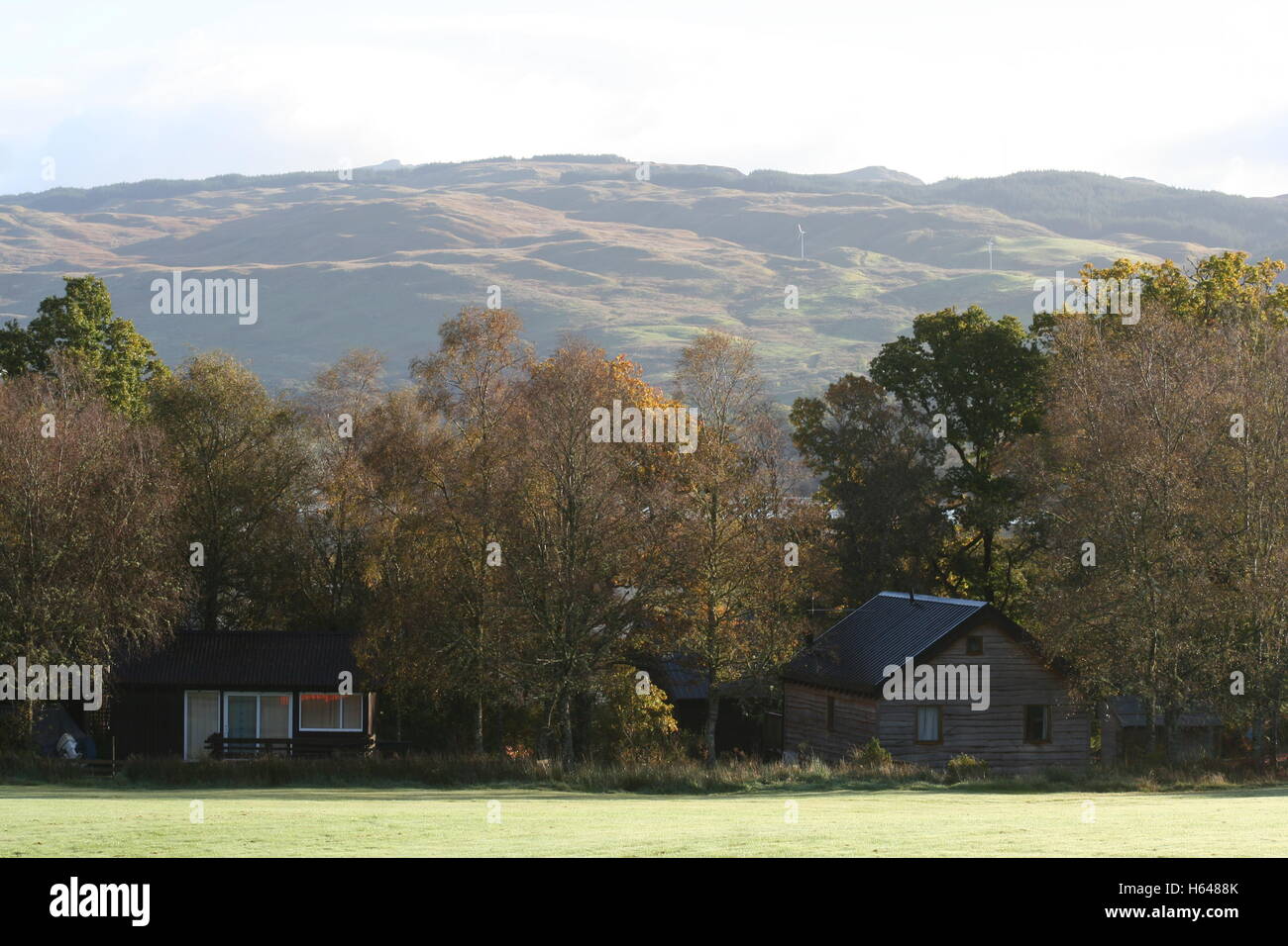 Dalavich Dial Abhaich Woodland Cabins Argyll and Bute Stock Photo - Alamy