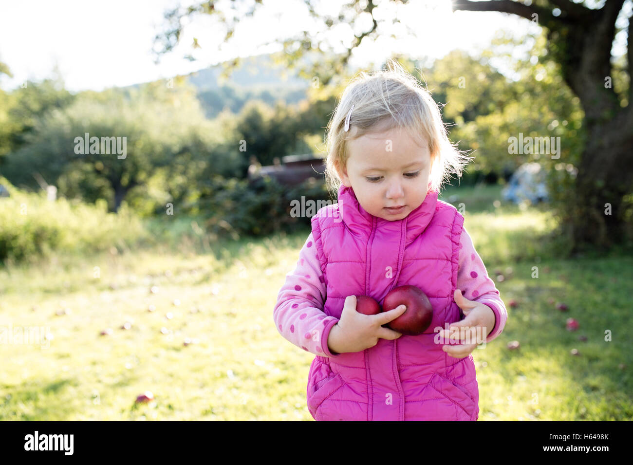 Cute little girl outside in nature on a sunny day Stock Photo - Alamy