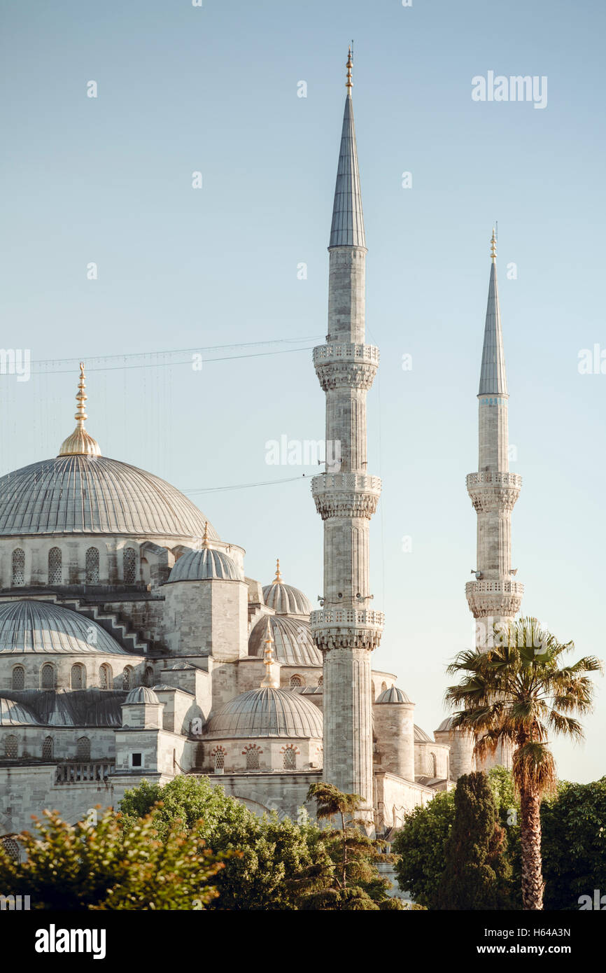 Turkey, Istanbul, view of Blue Mosque Stock Photo - Alamy
