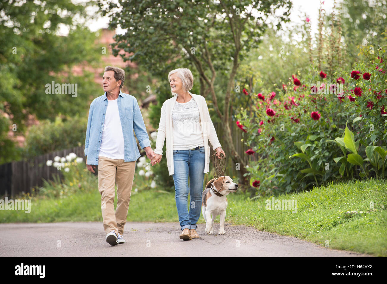 Senior couple on a walk with dog in nature Stock Photo - Alamy