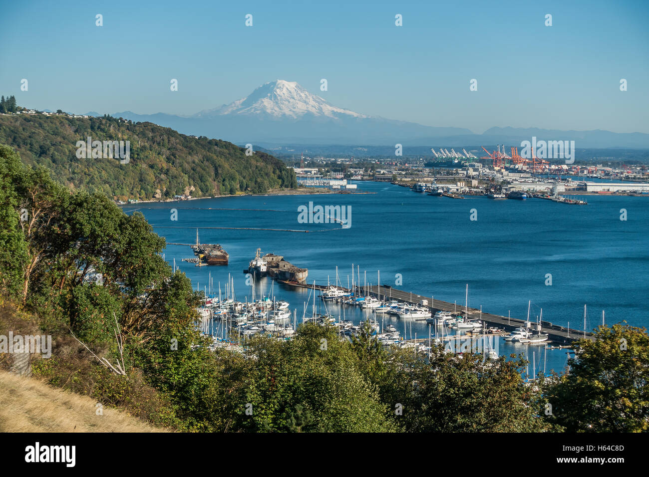 mount-rainier-towers-over-the-port-of-tacoma-stock-photo-alamy