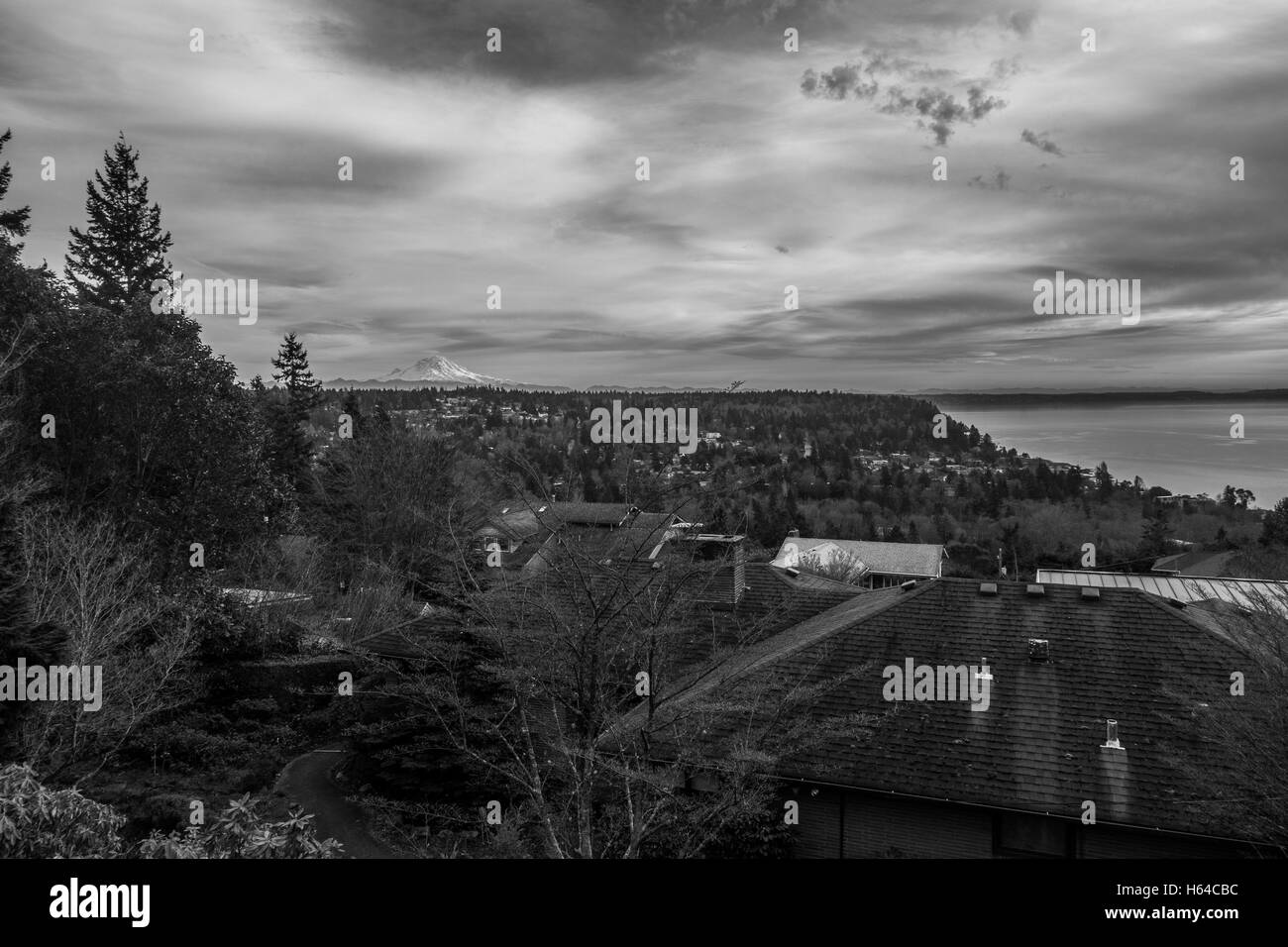 A view of Mount Rainier from a Burien neighborhood. Black and white