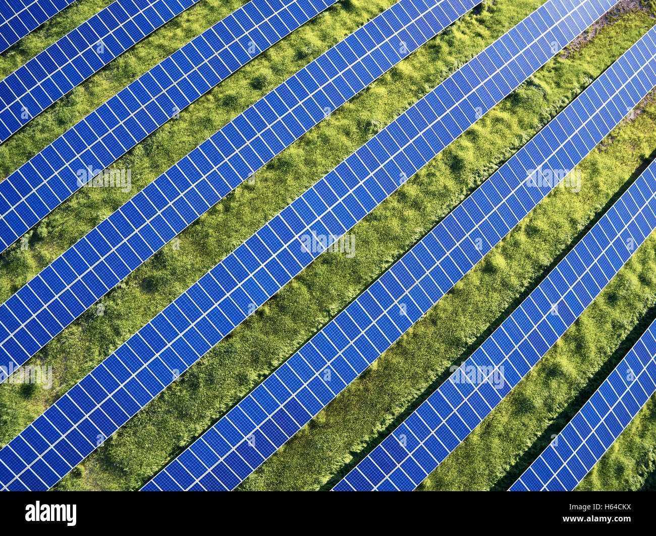 USA, North Carolina, Lowlevel aerial photograph of solar panels in a