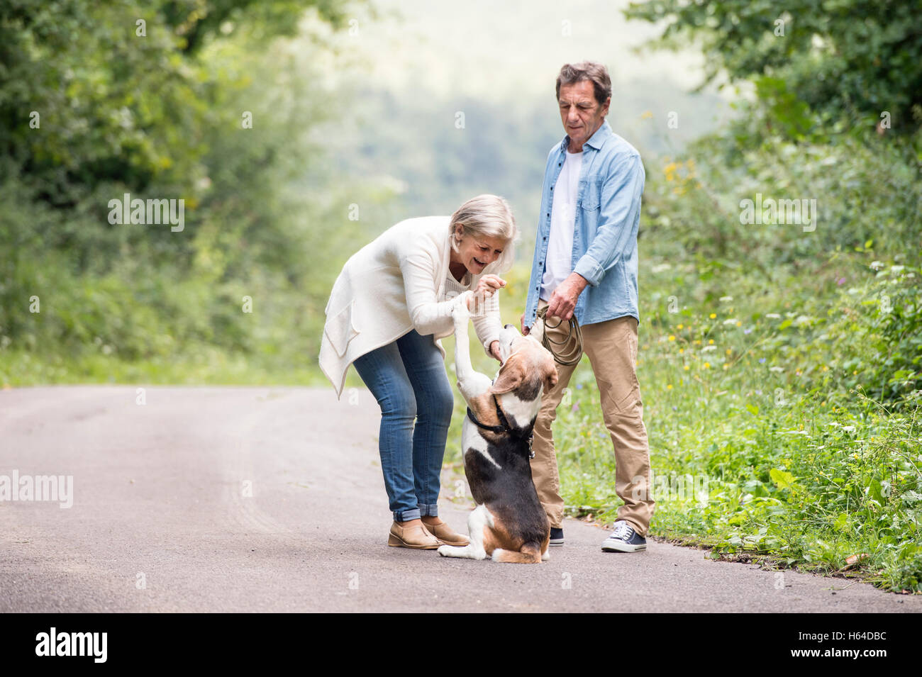 Senior couple with dog in nature Stock Photo - Alamy