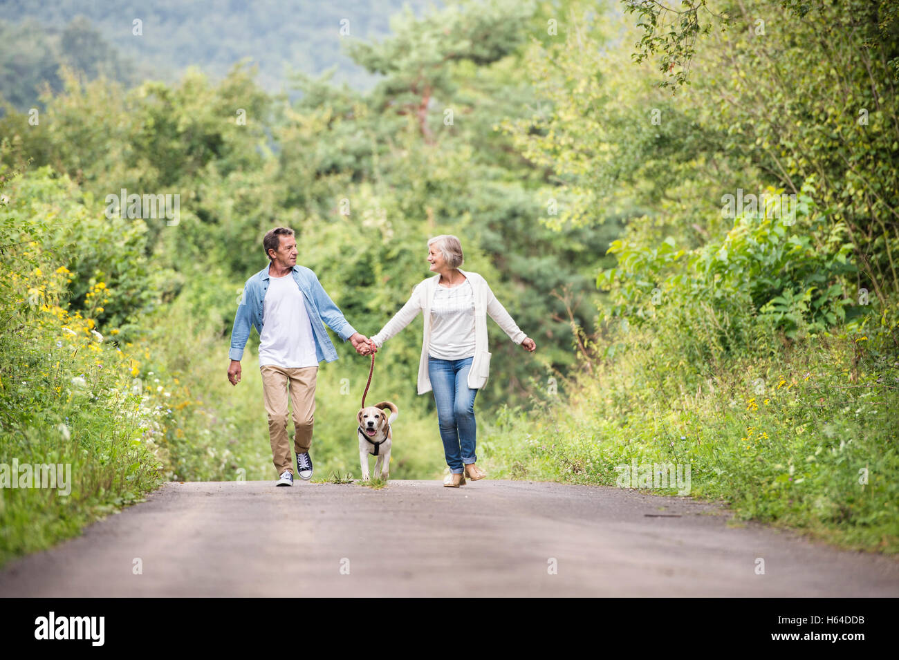 Senior couple on a walk with dog in nature Stock Photo - Alamy
