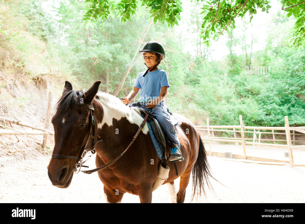 Horse riding school child hires stock photography and images Alamy
