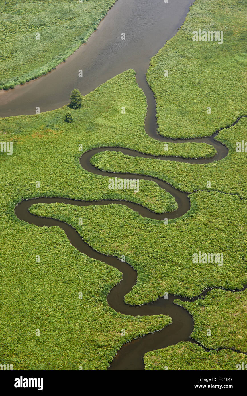 USA, Virginia, Marshes of the Chickahominy River near the confluence