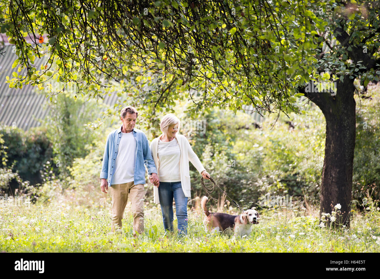 Senior couple on a walk with dog in nature Stock Photo - Alamy