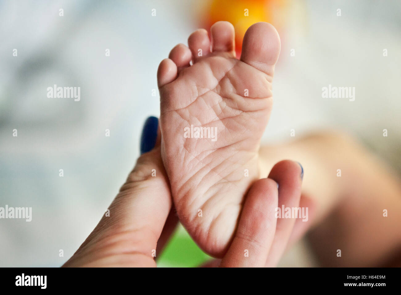 Hand holding baby's foot Stock Photo