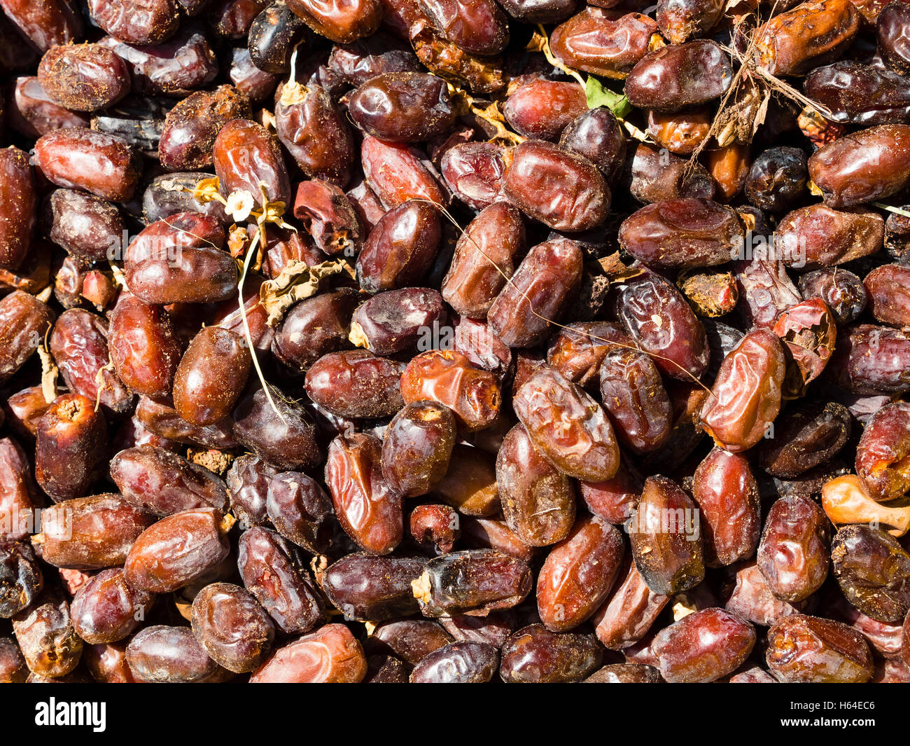 Oman food dates fruit hires stock photography and images Alamy