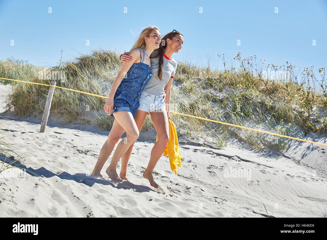 Two happy female friends walking on the beach Stock Photo - Alamy
