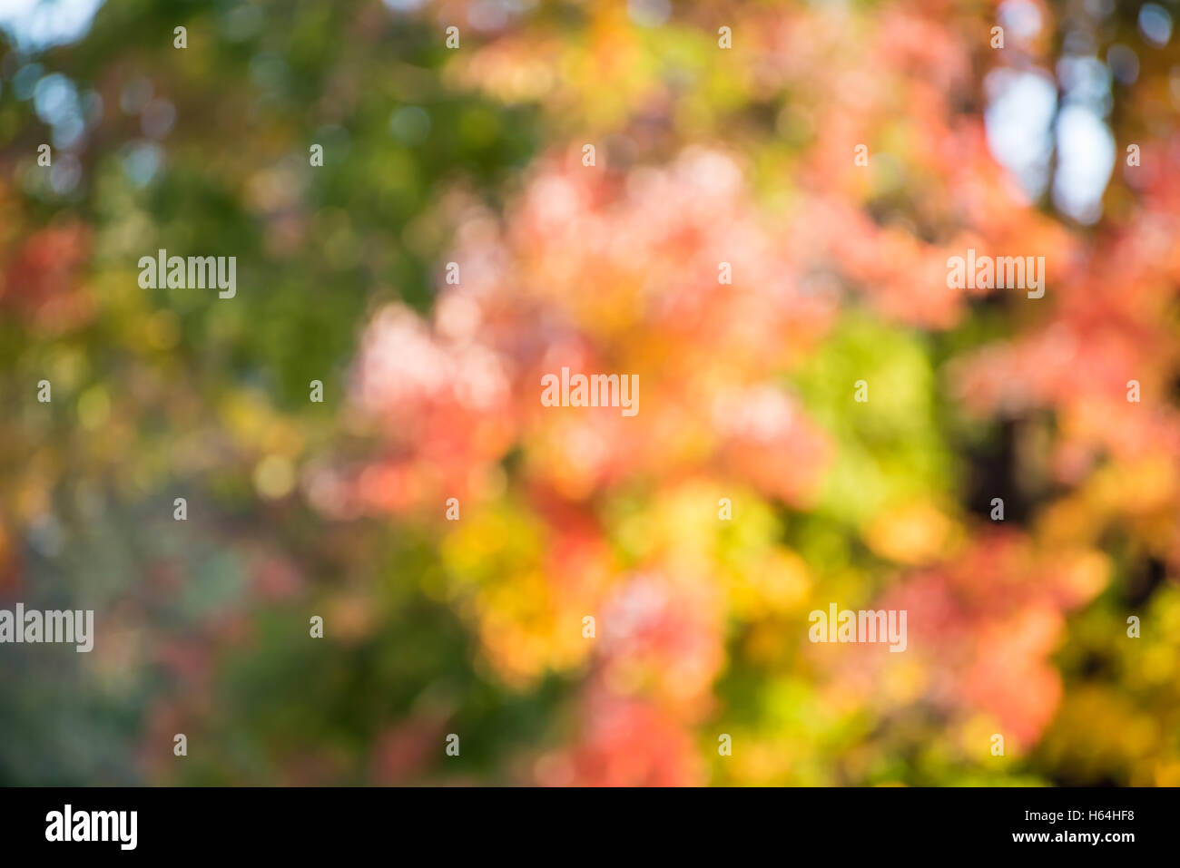 Abstract fall background hi-res stock photography and images - Alamy
