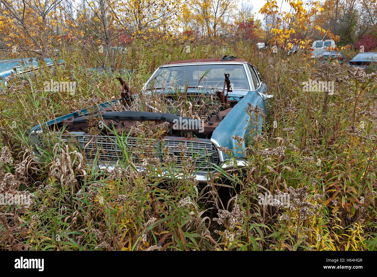 Ford junkyard hi res stock photography and images Alamy