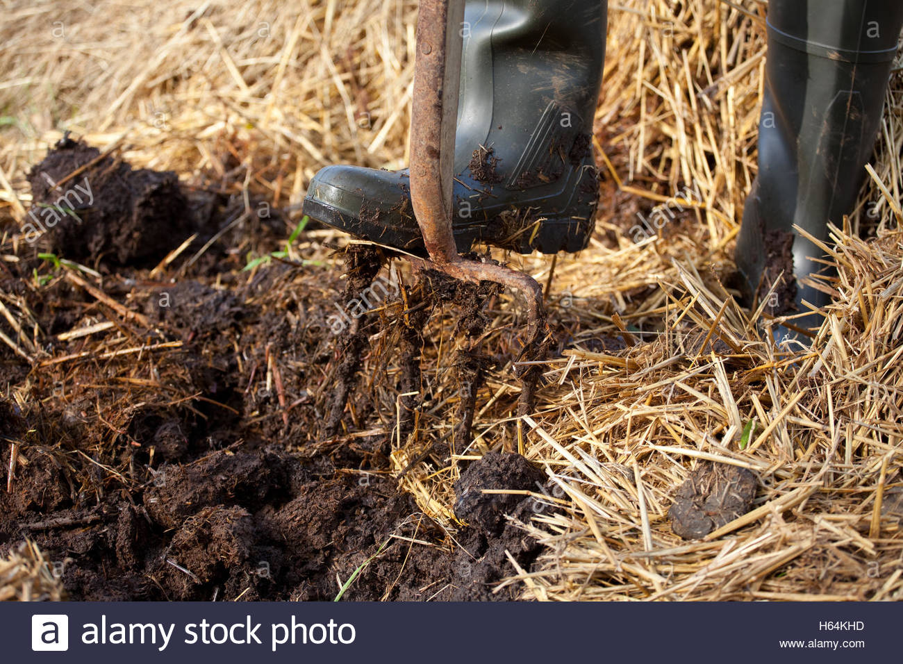 Horse Manure Pile High Resolution Stock Photography and Images Alamy