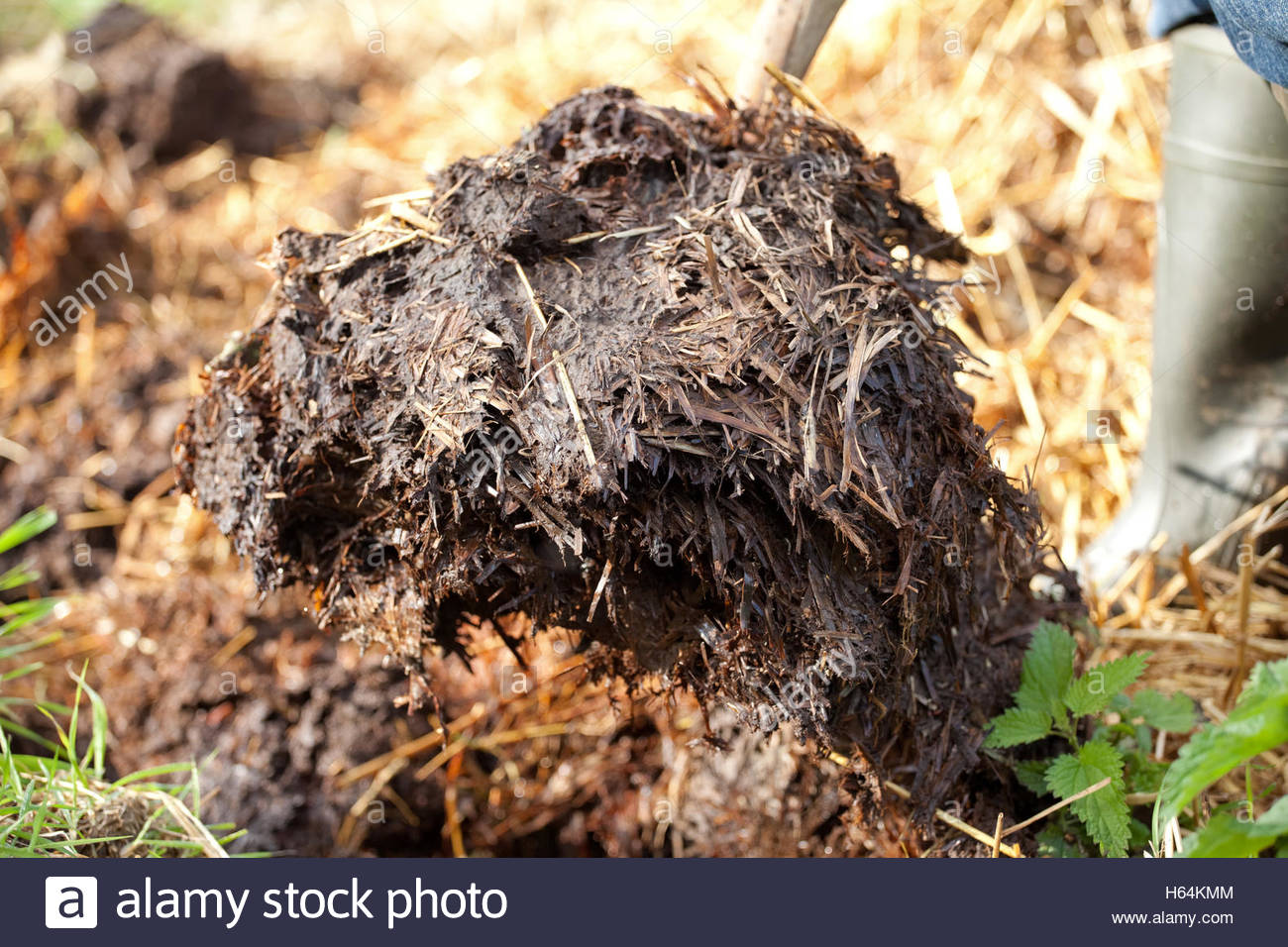 Horse Manure Pile High Resolution Stock Photography and Images Alamy