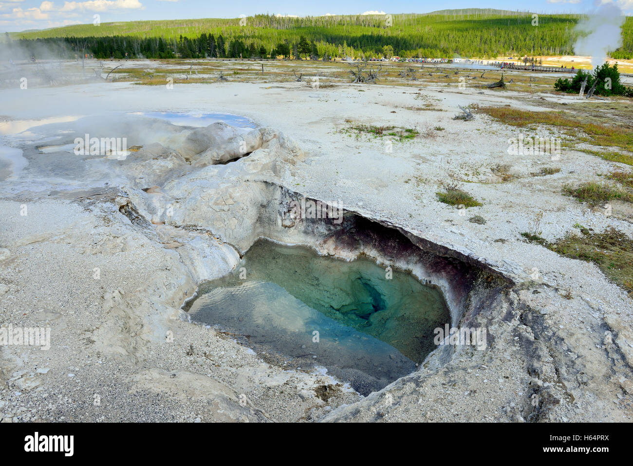 Biscuit Basin in Yellowstone National Park in Summer Stock Photo Alamy