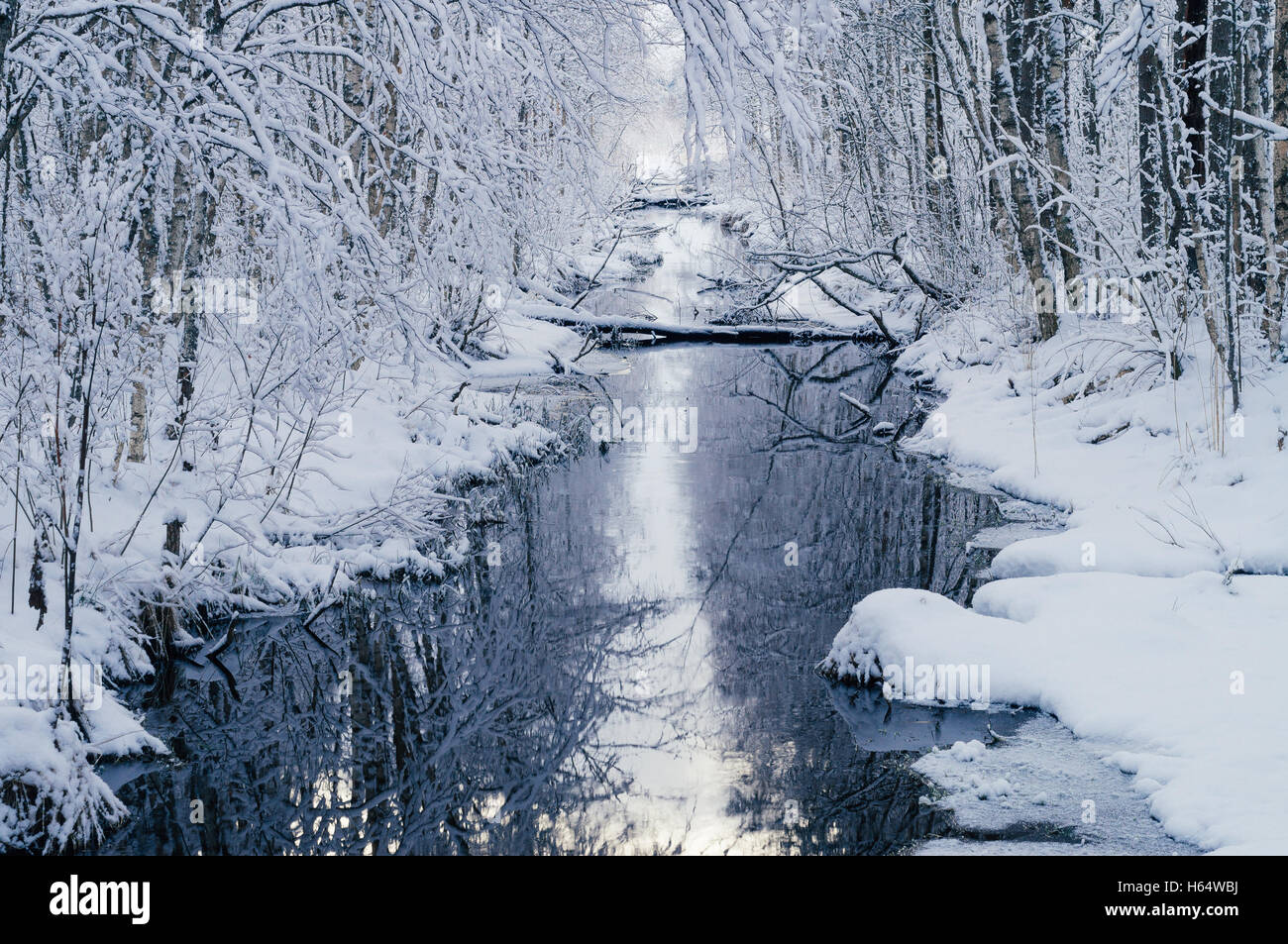 Small water channel in dreamlike snowy forest by winter morning Stock Photo