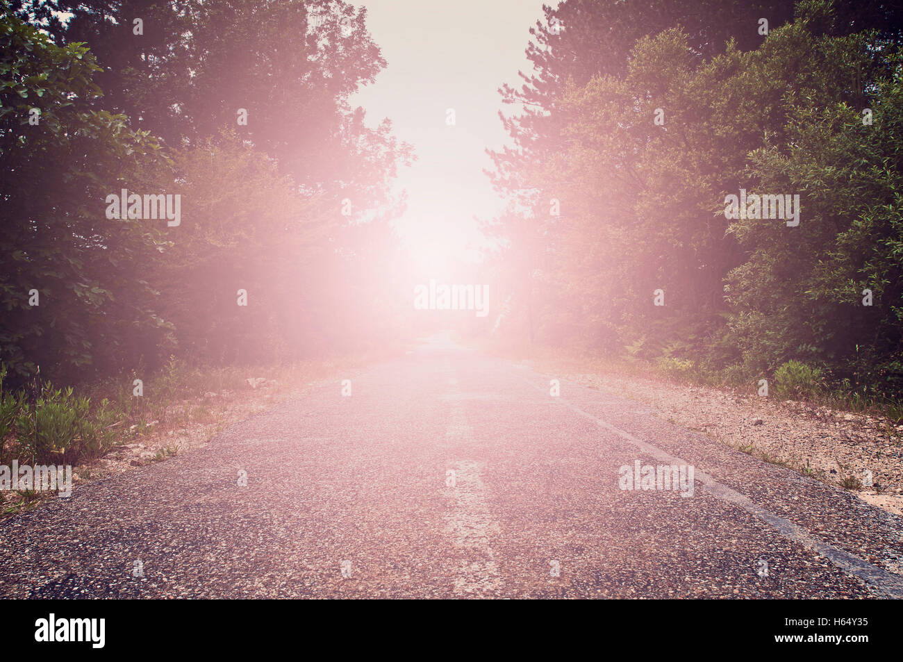 Empty Road Amidst Silhouette Trees At Dusk Stock Photo