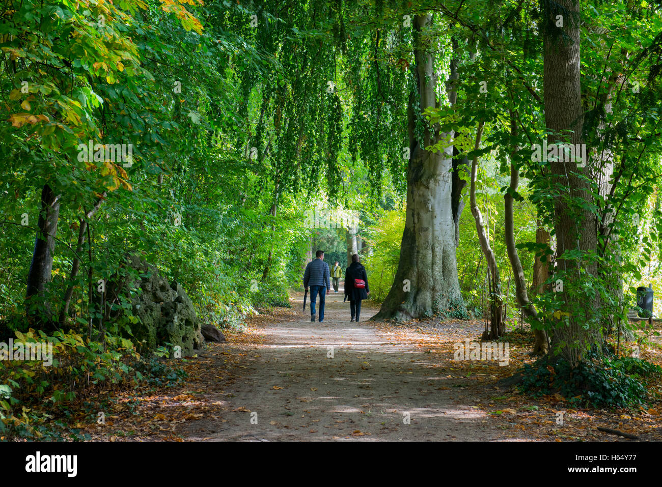 People walking on a footpath in a beech forest, Konstanz, Baden-Wuerttemberg, Germany Stock Photo