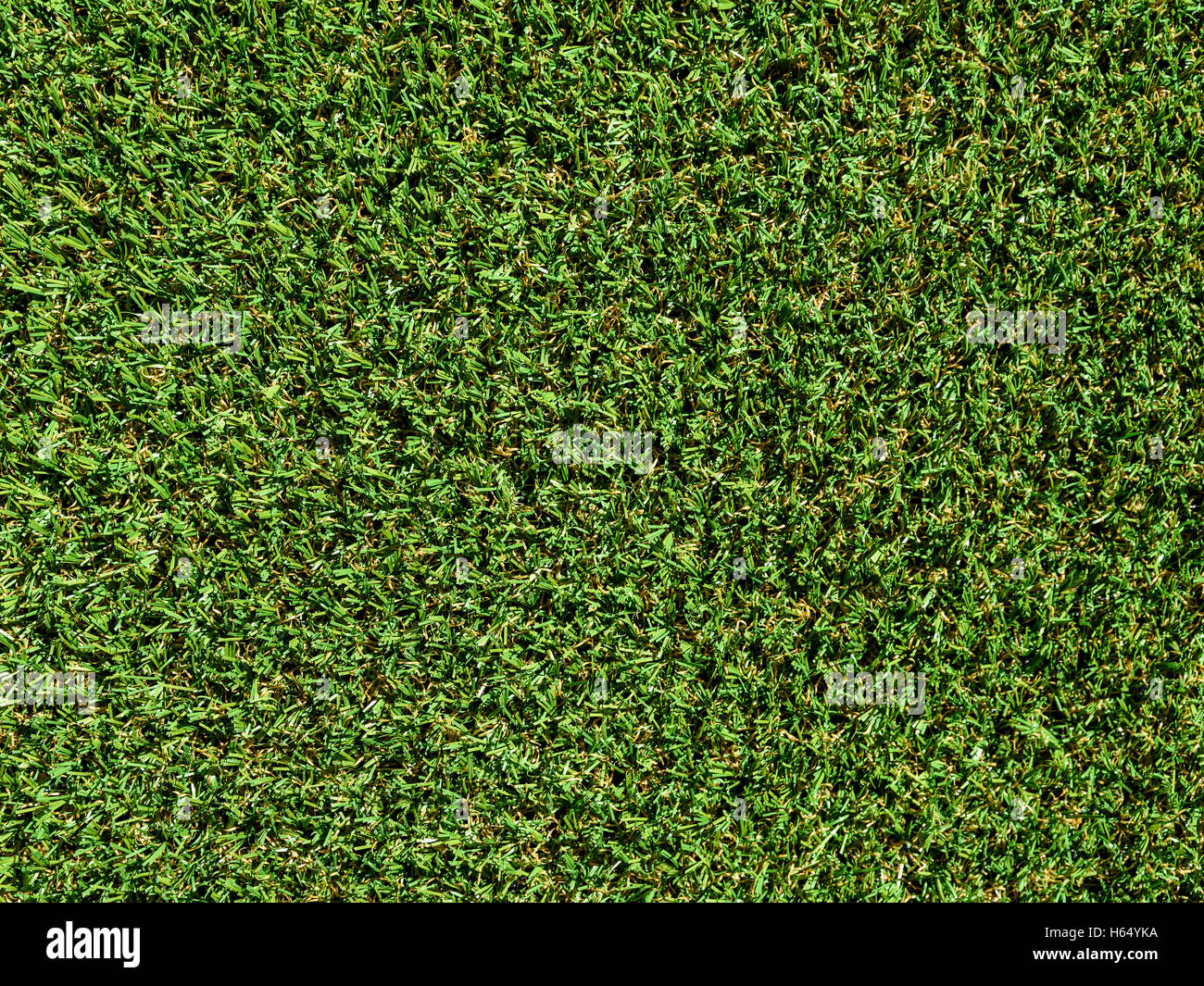 Green grass background hi-res stock photography and images - Alamy