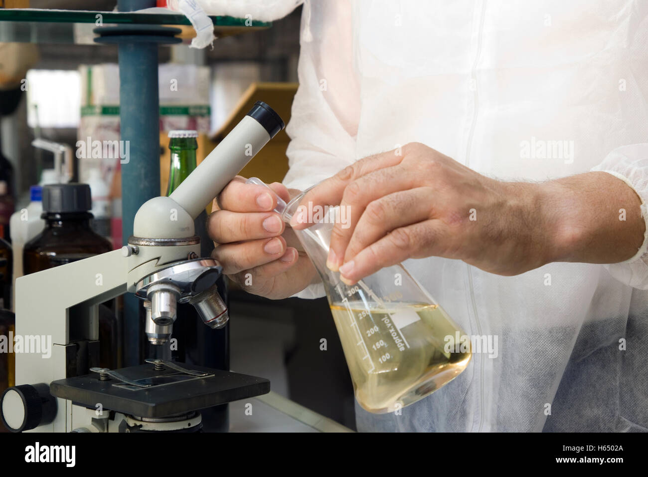 researcher at work in a laboratory Stock Photo - Alamy