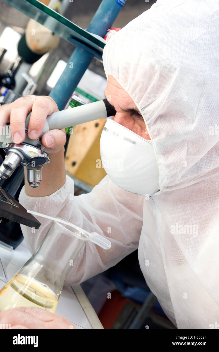 researcher at work in a laboratory Stock Photo - Alamy
