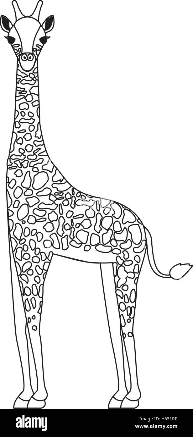 giraffe wild animal Stock Vector Image & Art - Alamy