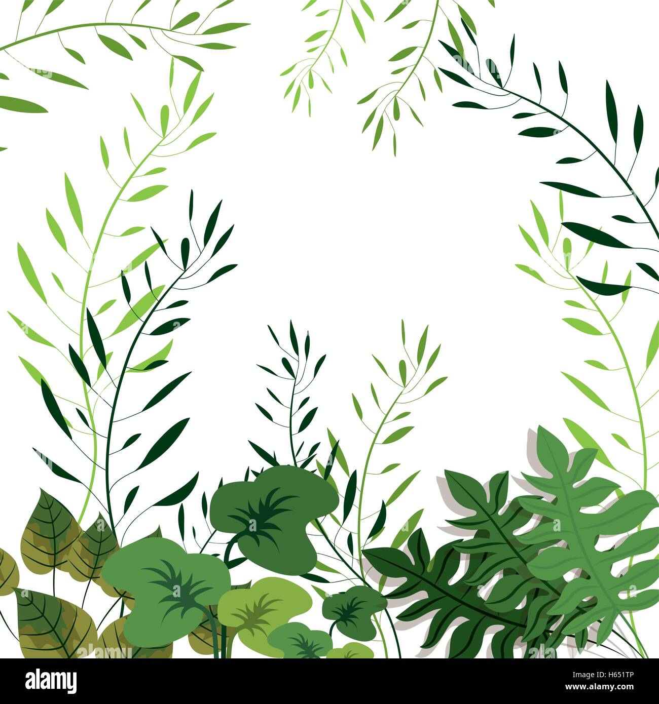 green tropical leaves Stock Vector Image & Art - Alamy