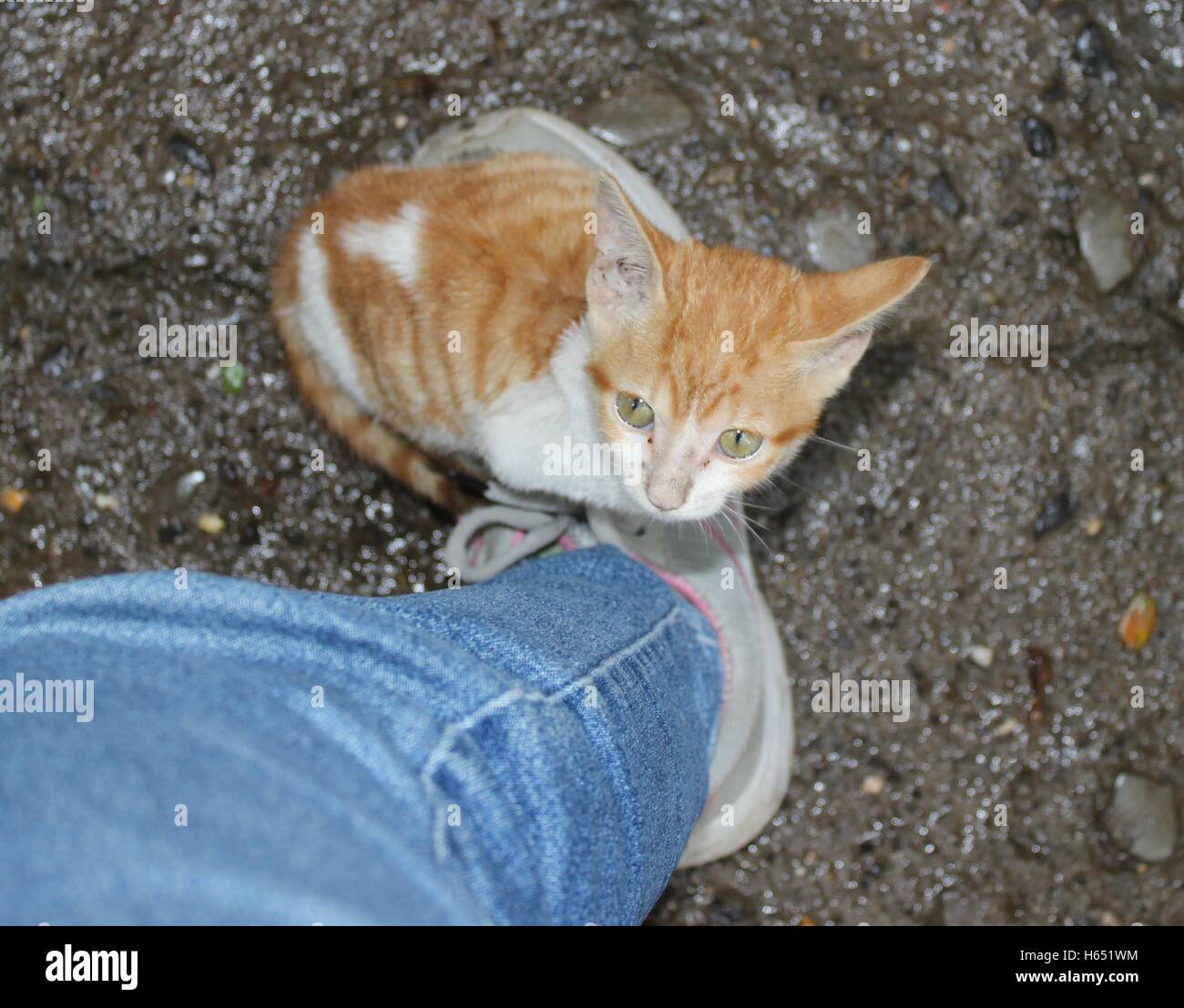 Human feet hires stock photography and images Alamy