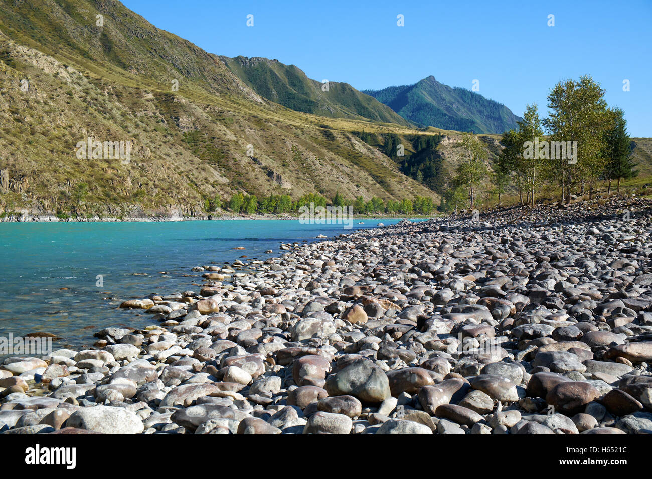 Siberian  river Katun in Altai mountains Stock Photo