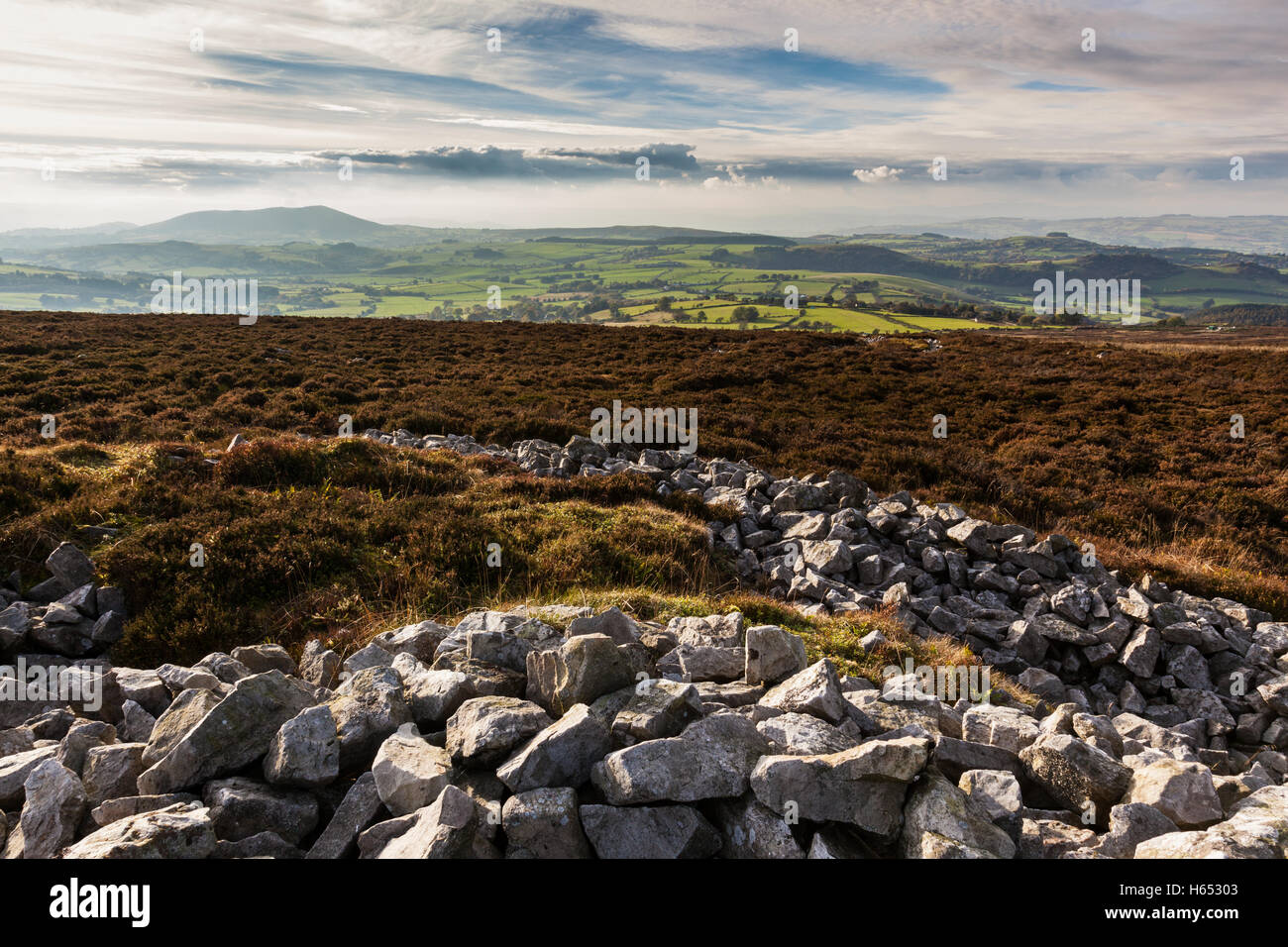 Looking towards Corndon Hill and mid Wales from the Stiperstones ridge near Snailbeach, Shropshire, England, UK Stock Photo