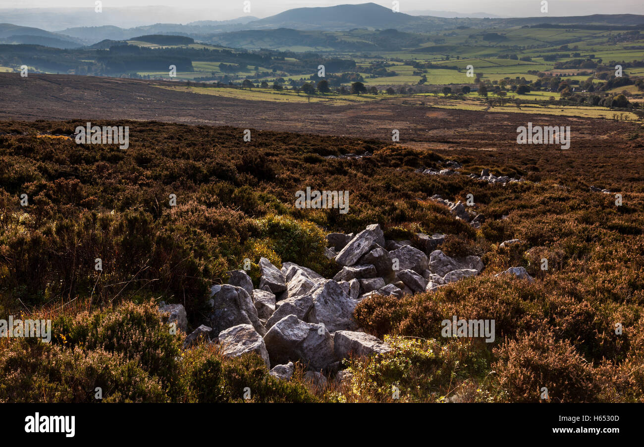 Looking towards Corndon Hill and mid Wales from the Stiperstones ridge near Snailbeach, Shropshire, England, UK Stock Photo