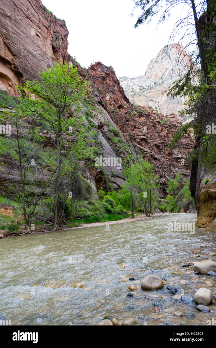 Zion National Park is located near Springdale (Utah Stock Photo Alamy