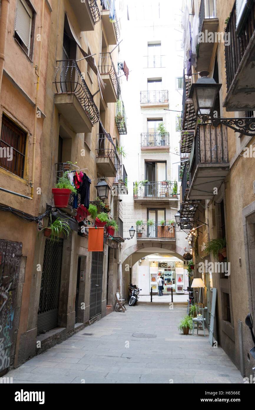 Gothic quarters are the center of Barcelona and some of its buildings