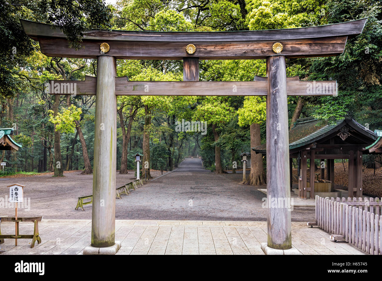 Torii Gate in Meiji Shrine forest in Tokyo Japan. A torii is a traditional Japanese gate  found at the entrance of Shinto shrine Stock Photo