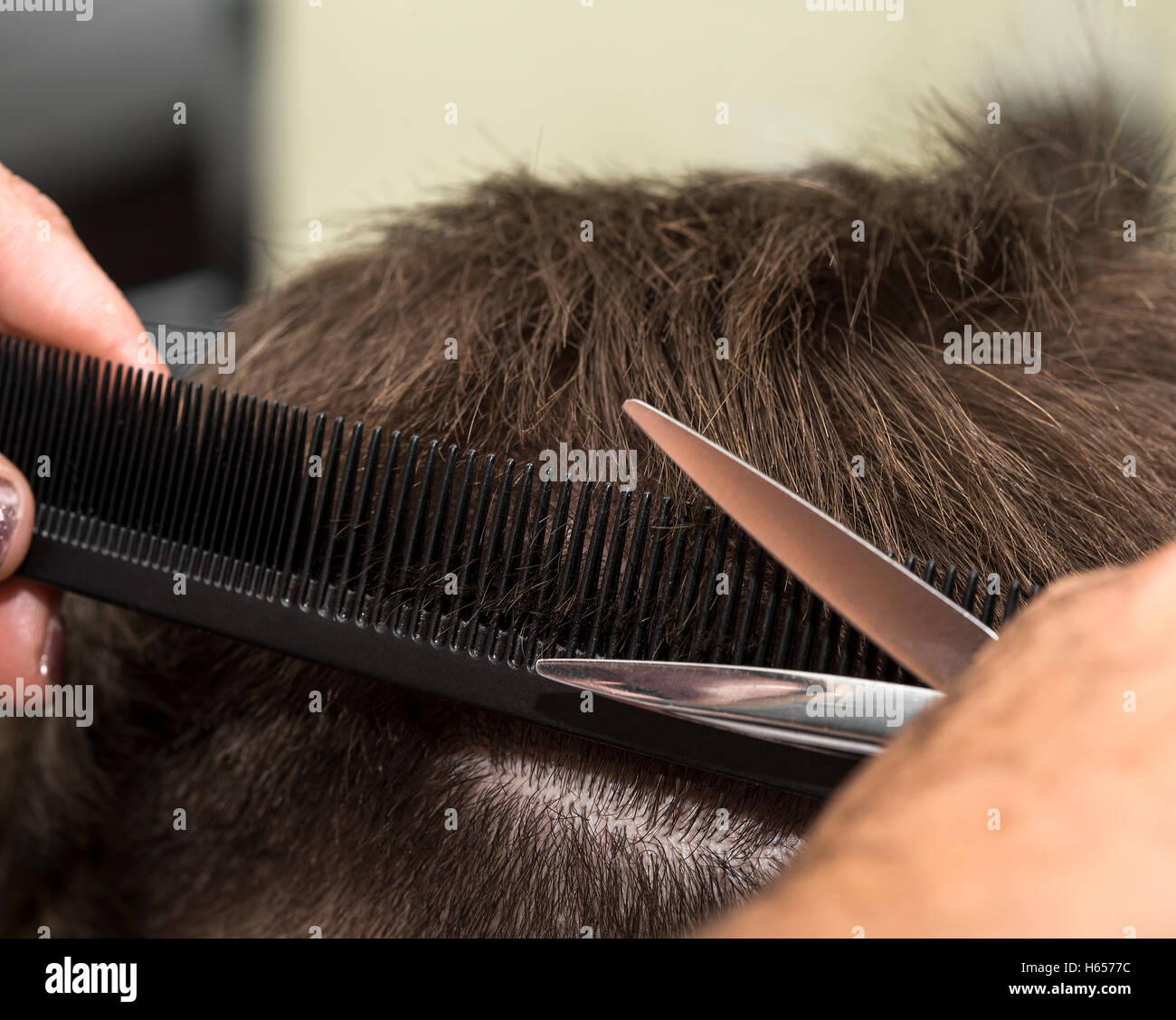 At the hairdresser getting a new male haircut. Stock Photo