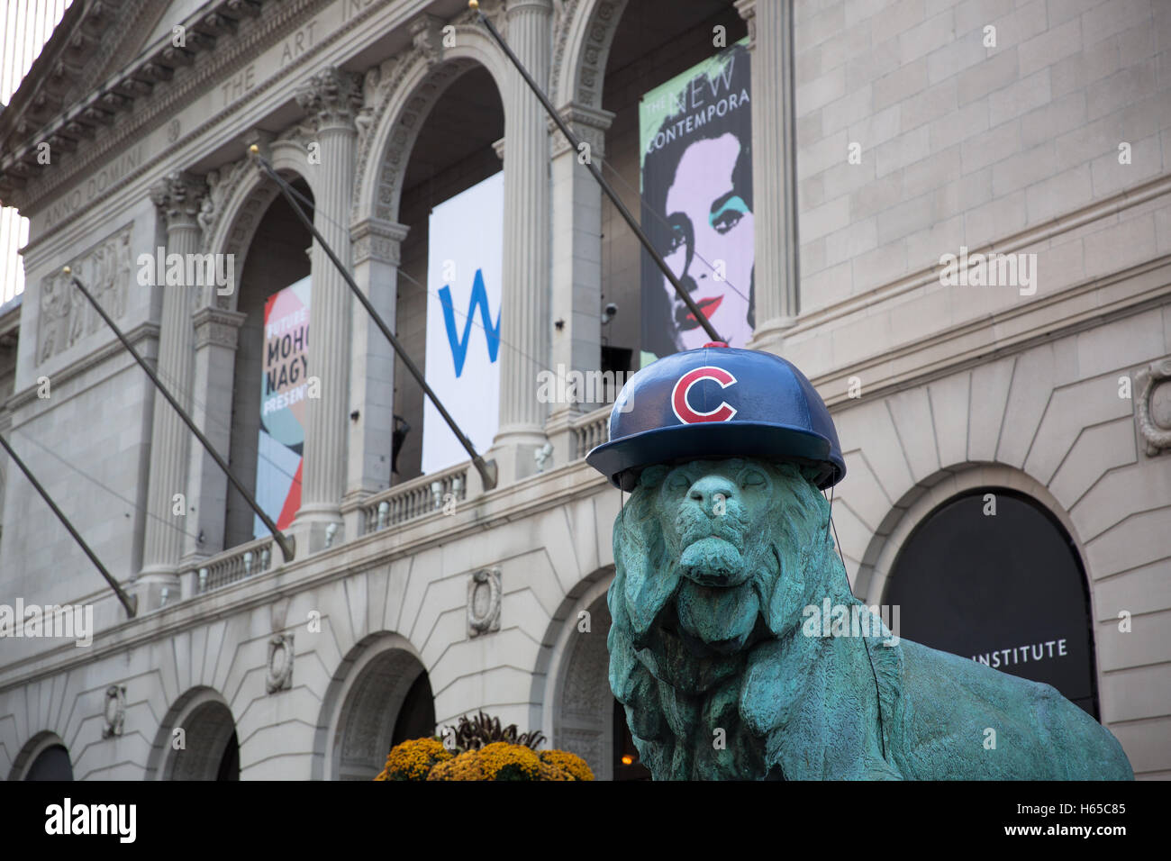 Chicago cubs mascot hi-res stock photography and images - Alamy