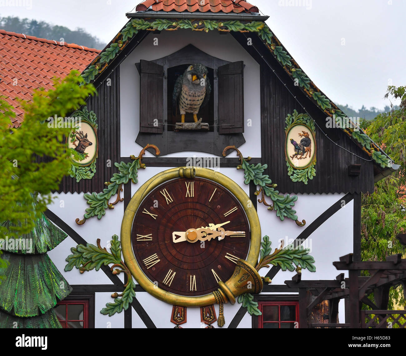 Lovingly restored and repaired, the largest cuckoo clock outside the Black Forest - with a height of 14.50 metres - ticks on the company premises of the former production of the 'Harzer Uhrenfabrik' factory in Gernrode, Germany, 13 October 2016. In the museum of the factory hang and stand over 100 mechanical clocks. Founded in 1948, the company was the only factory outside the Black Forest to produce cuckoo clocks. In 2009, the factory had to file for insolvency as a result of the financial crisis. Now the association wants to return life to the rooms. Photo: Hendrik Schmidt/dpa Stock Photo